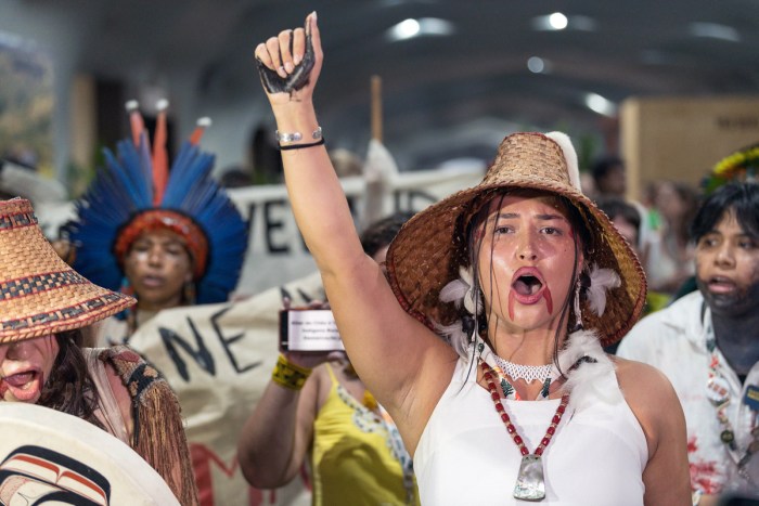 COP30 Indigenous march