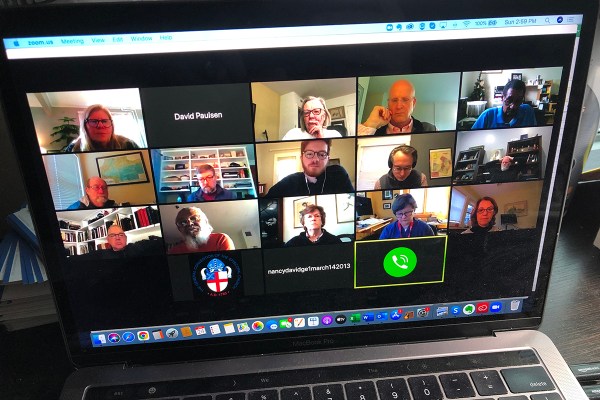 Executive Council on Zoom