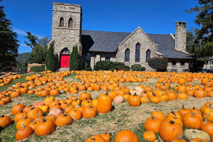 Grace Episcopal Church Asheville North Carolina pumpkin patch Consider Haiti